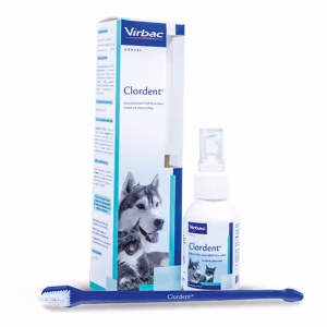 Clordent Solución Oral Antiséptica Virbac 120 ml