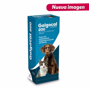 Galgocal 200 antiparasitario Interno Perros y Gatos