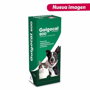 Galgocal 600 antiparasitario Interno Perros y Gatos