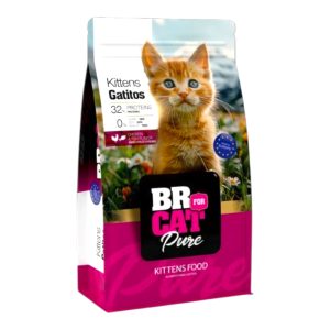 br for cat gatitos