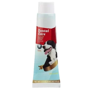 dentalcare